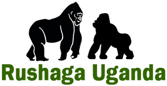 Rushaga Uganda